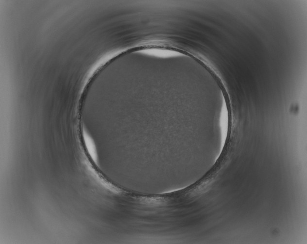 X0000112471045200909281041