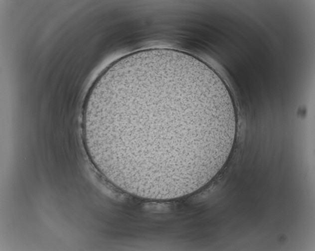 X0000112471051200909281041