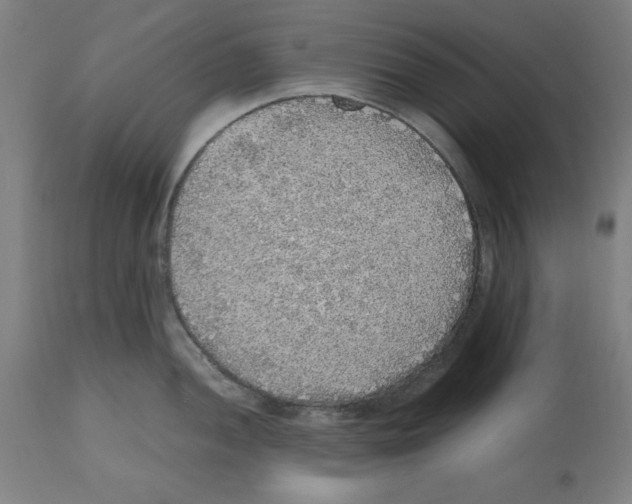 X0000112471052200909281041