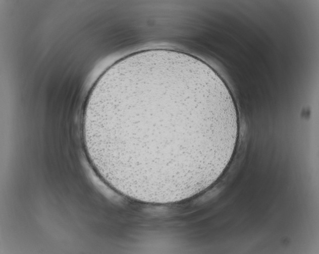 X0000112471054200909281041