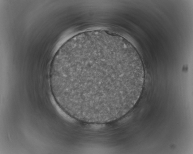 X0000112471055200909281041