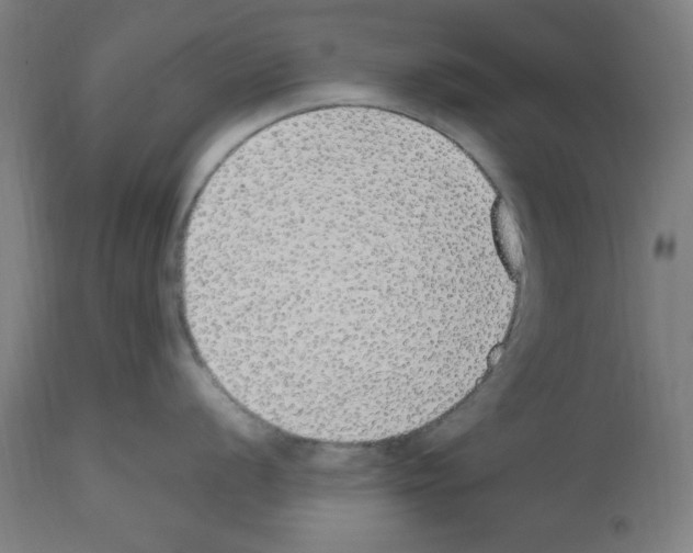 X0000112471056200909281041
