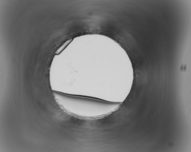 X0000112471057200909281040