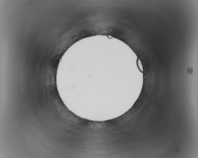 X0000112471058200909281040
