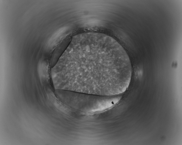 X0000112471060200909281040