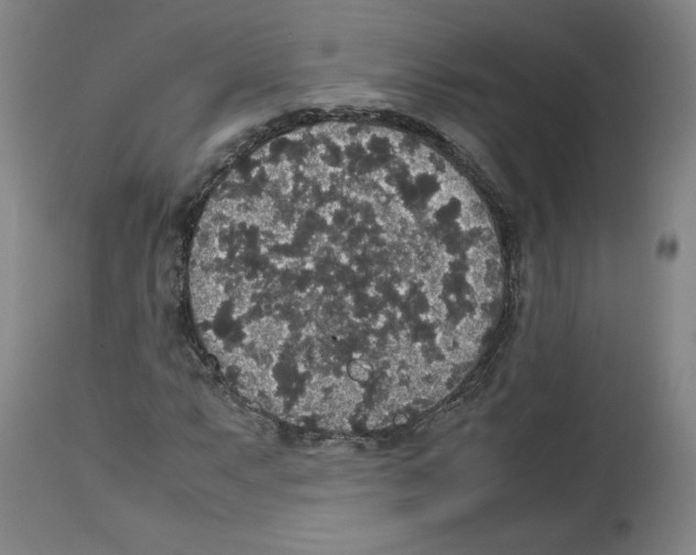 X0000112471063200909281040