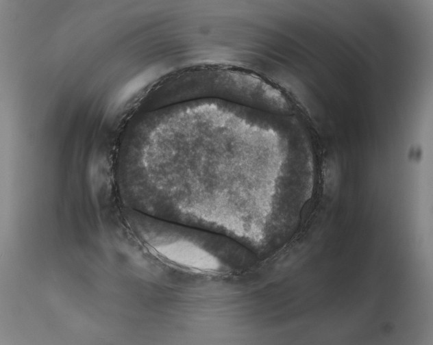 X0000112471064200909281040