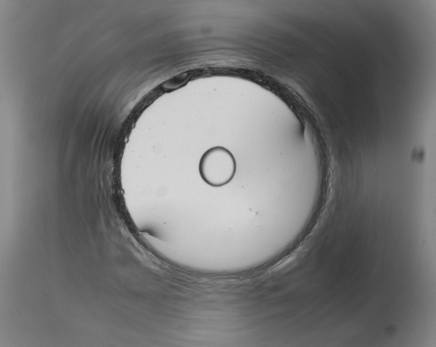 X0000112471065200909281040