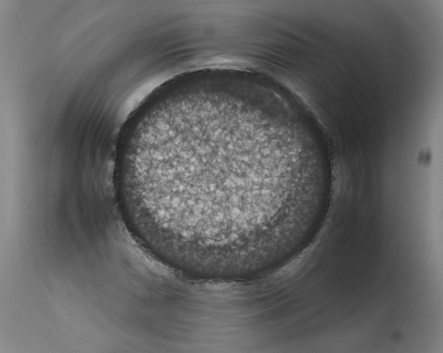 X0000112471066200909281040