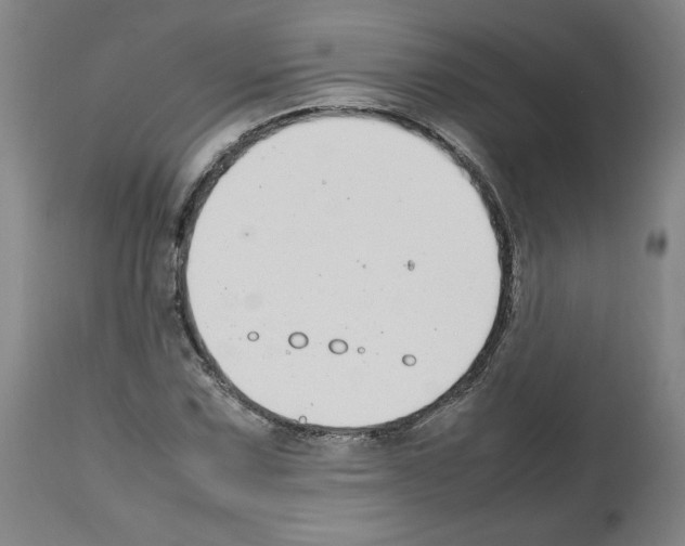 X0000112471067200909281040