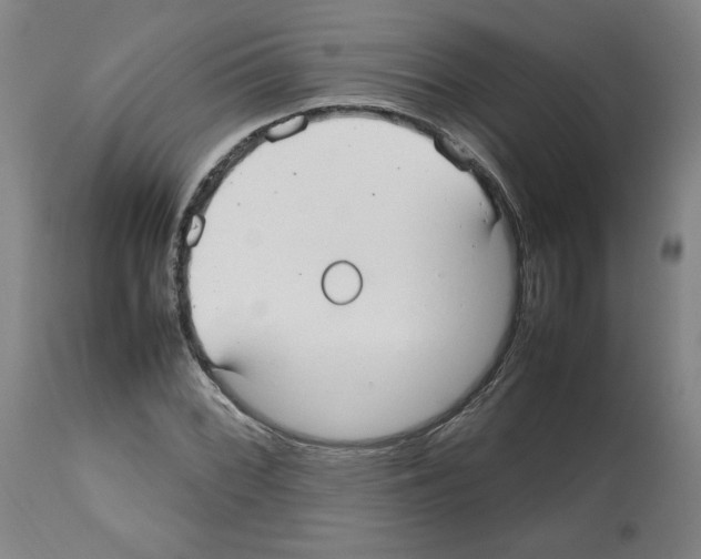 X0000112471068200909281040