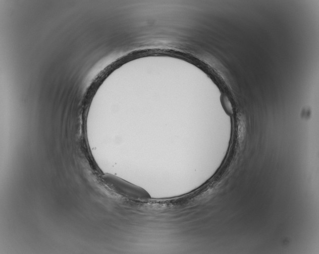 X0000112471069200909281040