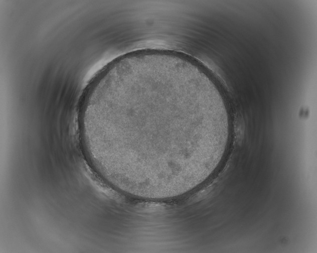 X0000112471070200909281040