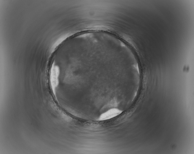 X0000112471071200909281040