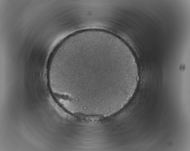X0000112471072200909281040