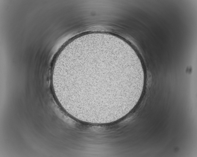 X0000112471075200909281040