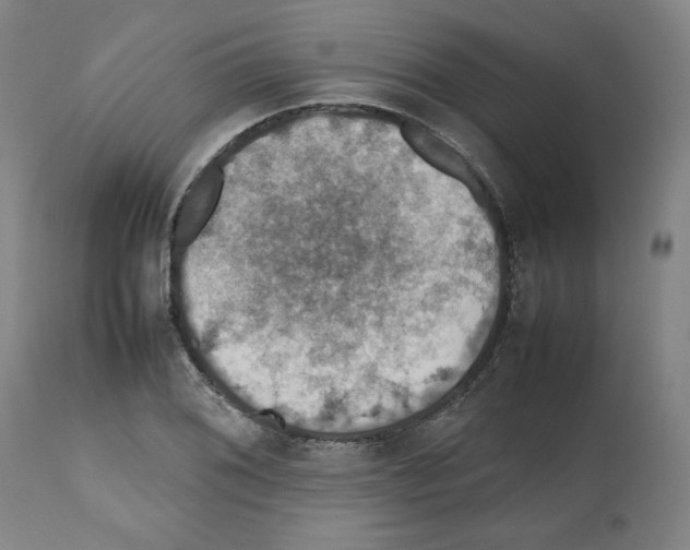 X0000112471076200909281040