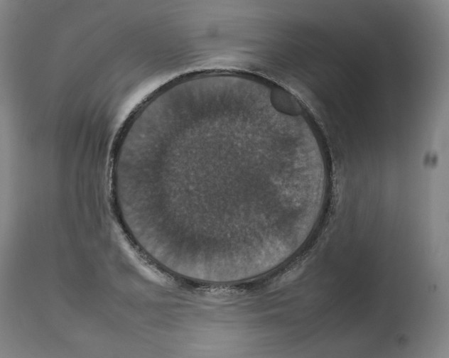 X0000112471077200909281040