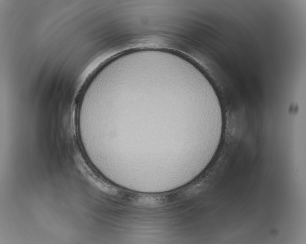 X0000112471078200909281040