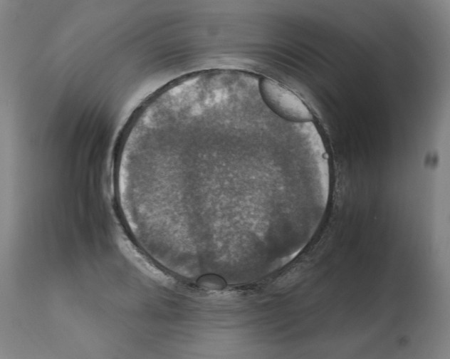 X0000112471080200909281040
