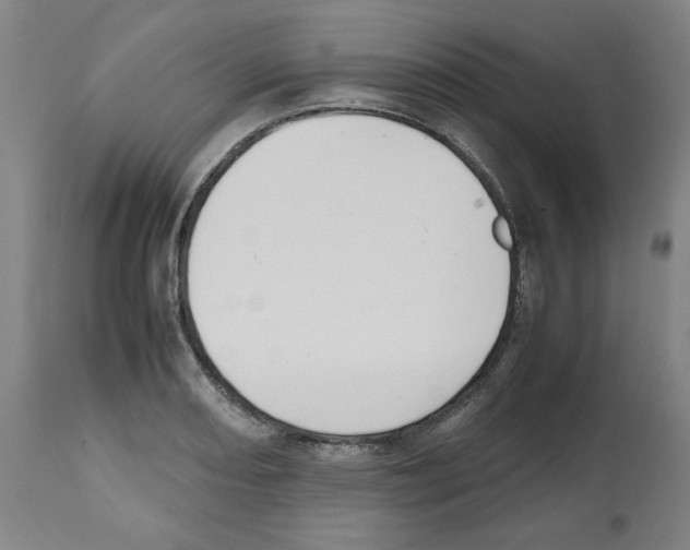 X0000112471082200909281040