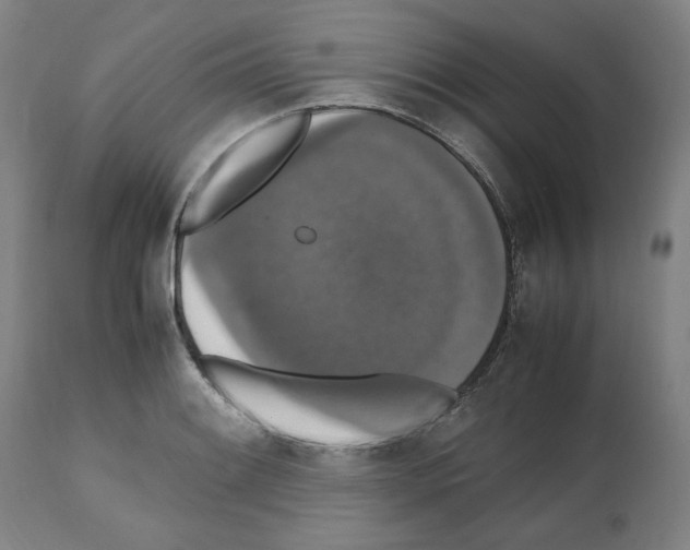 X0000112471084200909281040