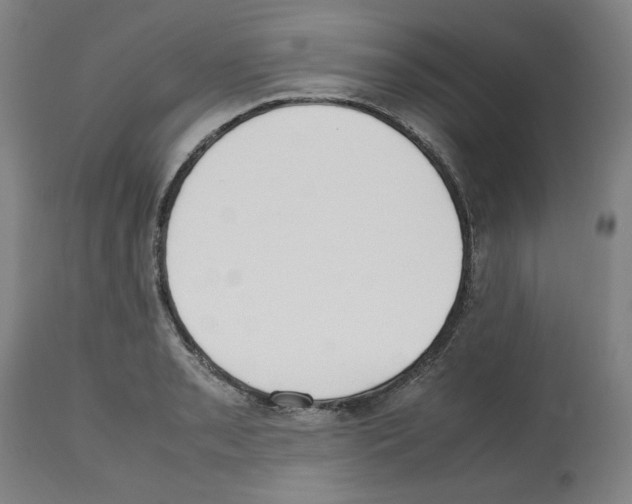 X0000112471085200909281040