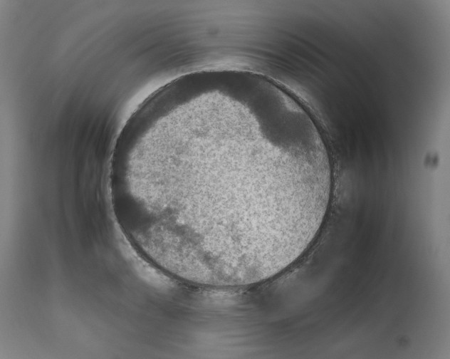 X0000112471086200909281040