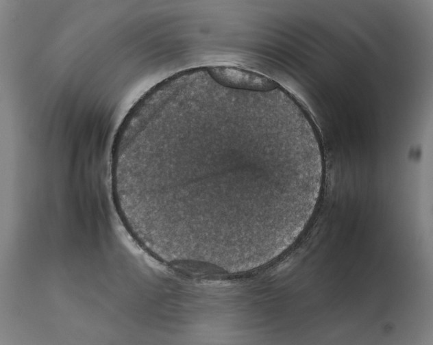 X0000112471088200909281040