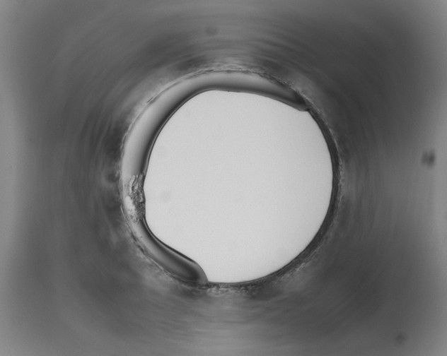 X0000112471089200909281040