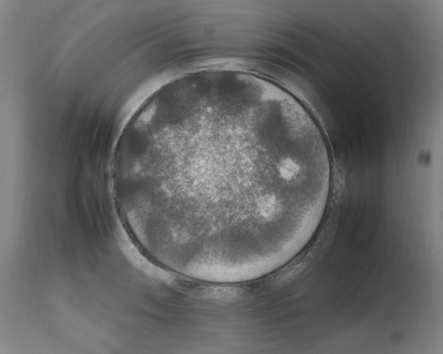 X0000112471090200909281040