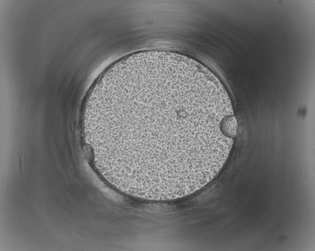 X0000112471091200909281040