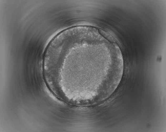 X0000112471092200909281040