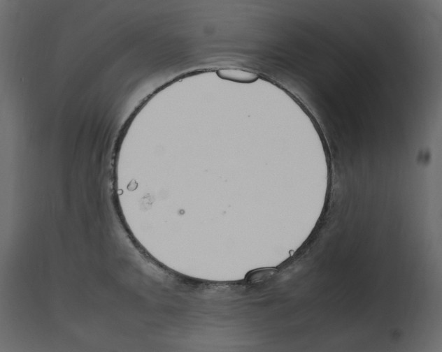 X0000112471093200909281040