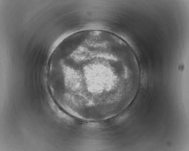 X0000112471094200909281039