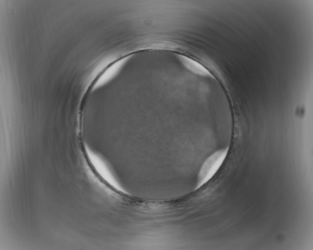 X0000112471095200909281039