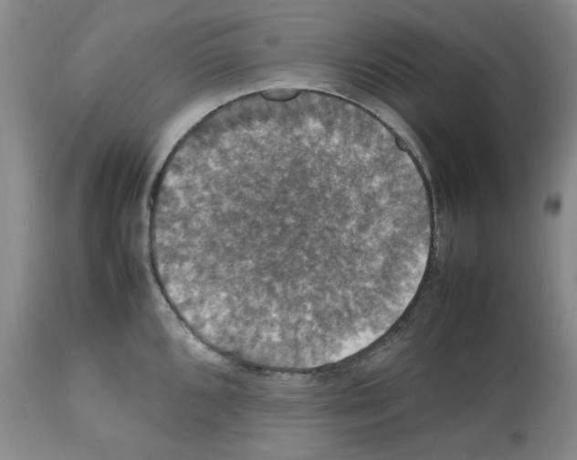 X0000112471096200909281039