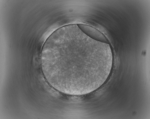 X0000112471097200909281039