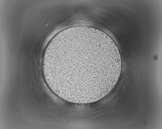 X0000112471099200909281039