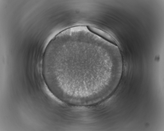 X0000112471100200909281039