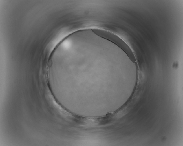 X0000112471101200909281039