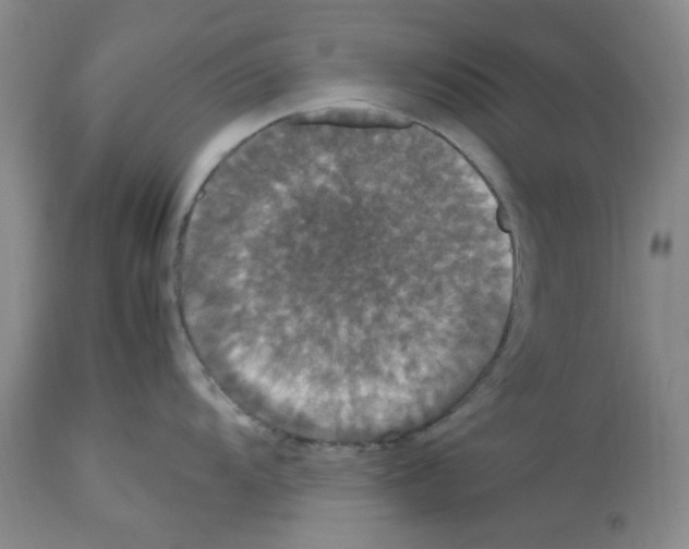 X0000112471104200909281039