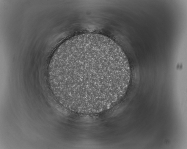 X0000112471105200909281038