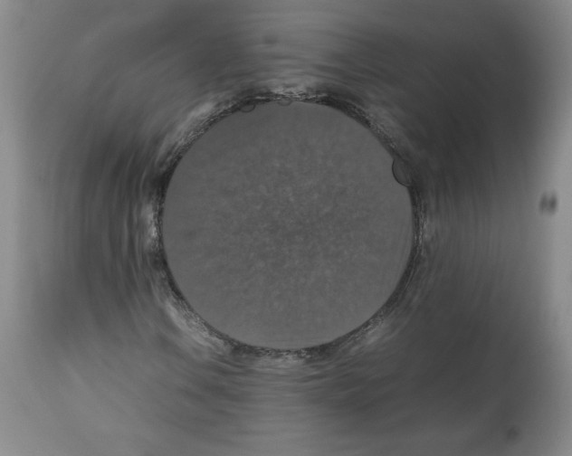 X0000112471106200909281038
