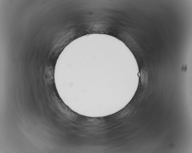 X0000112471107200909281039