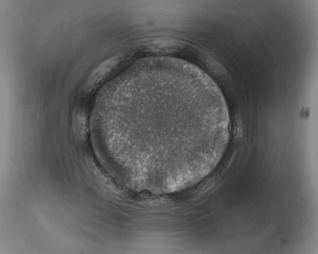 X0000112471108200909281039