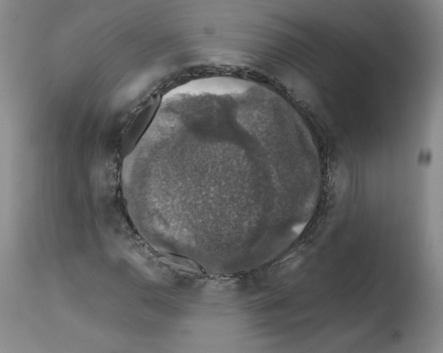 X0000112471110200909281039