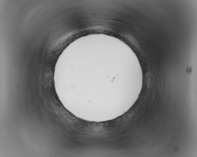 X0000112471111200909281039