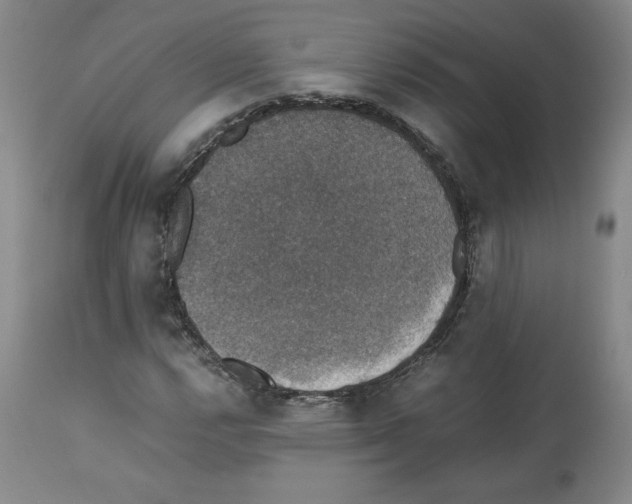 X0000112471112200909281039