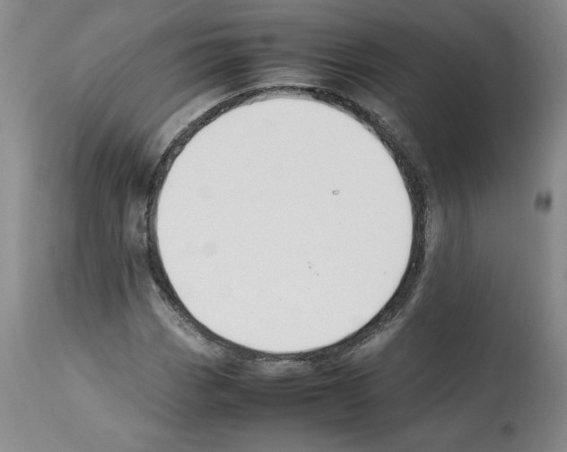 X0000112471113200909281039